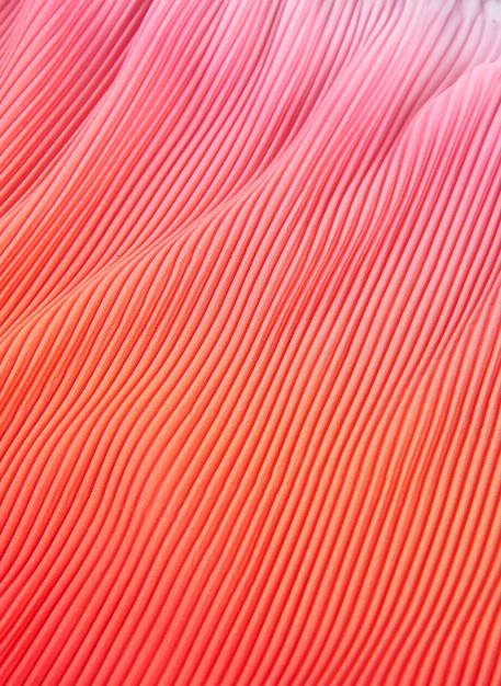 Débardeur en mousseline fille Rose 4 - vertbaudet enfant 