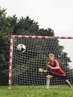 Jouet-Jeux de plein air-Sports de plein air-But de football pour jouer en famille