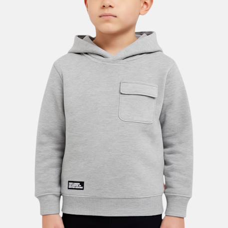 Garçon-Pull, gilet, sweat-Sweat à capuche garçon imprimé