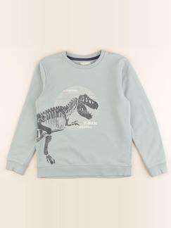 Seconde main-Garçon-Sweat - 10 ans