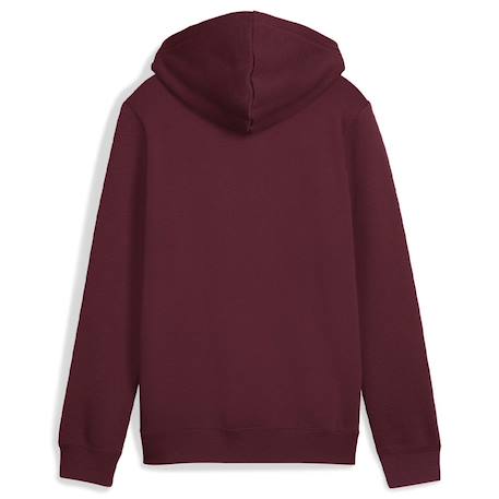 Sweat à capuche Bleu+Bleu gris+Rouge+Rouge bordeaux+Vert 8 - vertbaudet enfant 