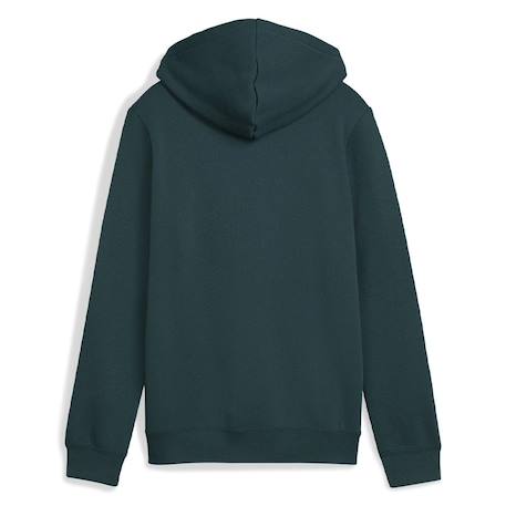 Sweat à capuche Bleu+Bleu gris+Rouge+Rouge bordeaux+Vert 10 - vertbaudet enfant 