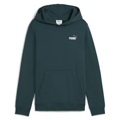 -Sweat à capuche