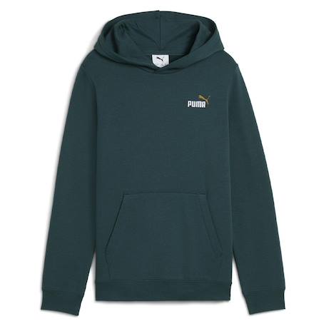 Sweat à capuche Bleu+Bleu gris+Rouge+Rouge bordeaux+Vert 9 - vertbaudet enfant 