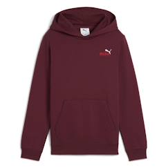 -Sweat à capuche