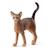 Farm world chat abyssin Marron 2 - vertbaudet enfant 