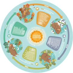 Jouet-Jeux éducatifs-Puzzles-Puzzle circulaire 4 saisons