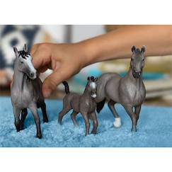 Jouet-Jeux d'imagination-Horse club étalon selle français