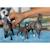 Horse club étalon selle français Gris 1 - vertbaudet enfant 
