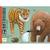 Jeu de bataille - batanimo - jeu de cartes Multicolore 2 - vertbaudet enfant 