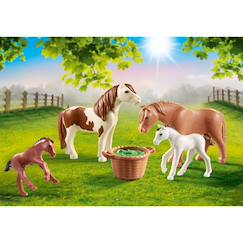 Jouet-Jeux d'imagination-Country poneys avec poulains 70682