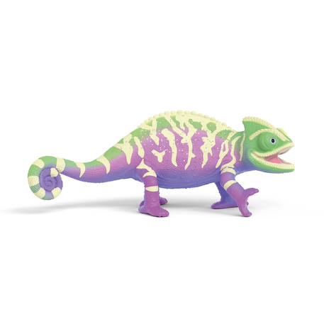 L'école des animaux magiques - caspar le caméléon Vert et violet 1 - vertbaudet enfant 