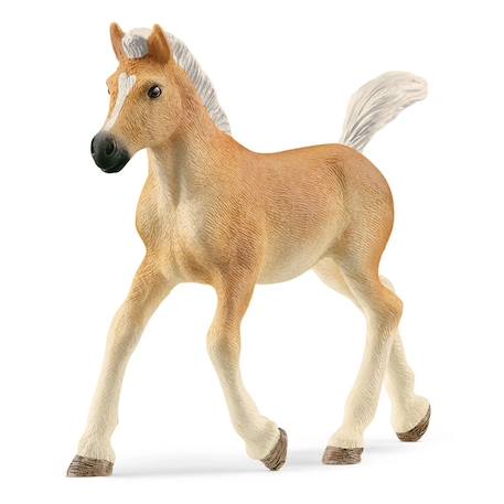 Horse club poulain haflinger Marron 2 - vertbaudet enfant 