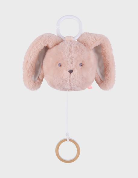 Peluche tête mini-musicale 20cm - rosie Rose 2 - vertbaudet enfant 