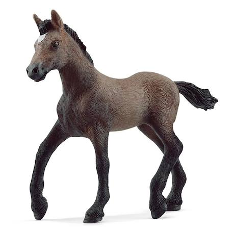 Horse club poulain paso péruvien Marron 2 - vertbaudet enfant 