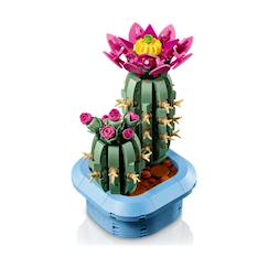 Jouet-Jeux d'imagination-Botanicals cactus fleuri 11509