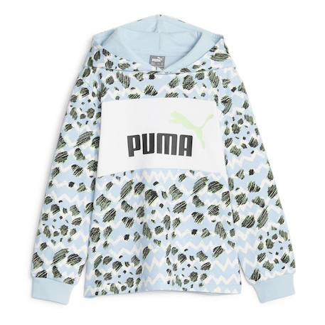 Garçon-Pull, gilet, sweat-Sweat capuche garçon mixmch