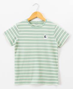 Garçon-T-shirt, polo, sous-pull-Mariniere manches courtes 100% coton garçon