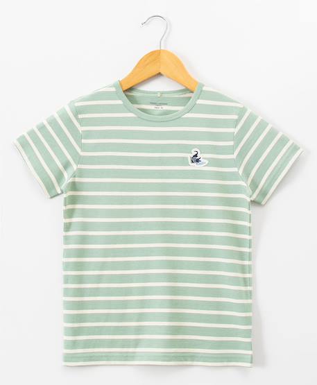 Mariniere manches courtes 100% coton garçon Fond vert raye grege 1 - vertbaudet enfant 