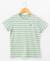 Mariniere manches courtes 100% coton garçon Fond vert raye grege 1 - vertbaudet enfant 