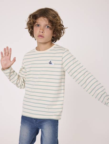 Mariniere manches longues 100% coton garçon Fond grege raye vert 1 - vertbaudet enfant 