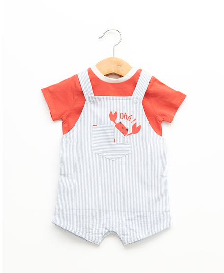 Bébé-Ensemble-Ensemble salopette + haut 100% coton bébé garçon