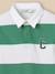 Polo-rugby garçon - coton biologique Rayure bico bleu+Rayure bico rouge+Rayure bico verte 6 - vertbaudet enfant 