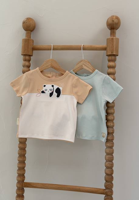Garçon-Lot de 2 t-shirts enfant bento