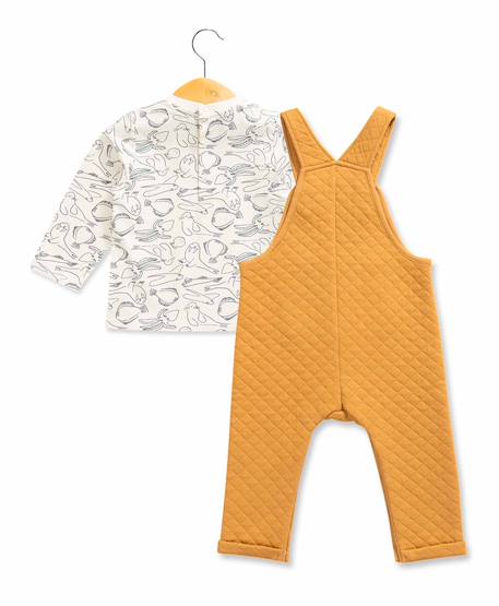 Ensemble salopette + haut bébé garçon Noix 2 - vertbaudet enfant 