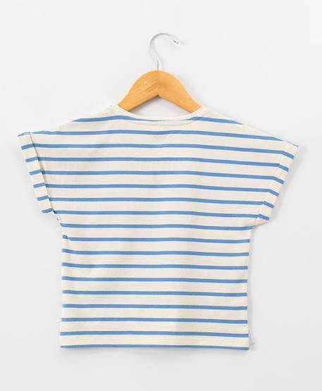 Mariniere manches courtes 100% coton fille Fond grege raye bleu 3 - vertbaudet enfant 
