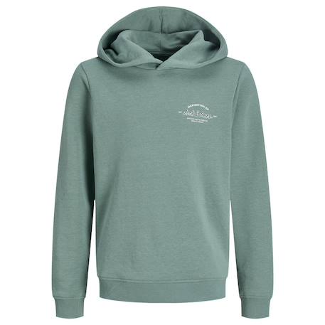 Garçon-Pull, gilet, sweat-Sweat garçon brandon
