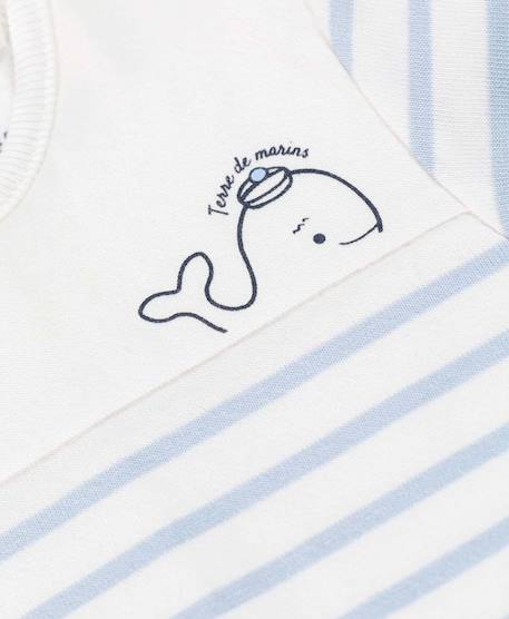 Body manches longues bébé Fond naturel raye bleu ciel 3 - vertbaudet enfant 