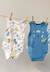 Lot de 2 bodies bébé sans manches biscarosse Bleu 1 - vertbaudet enfant 