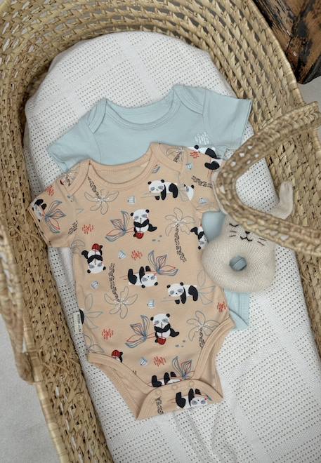 Lot de 2 bodies bébé manches courtes bento Vert 1 - vertbaudet enfant 