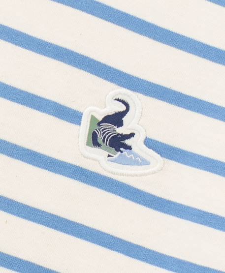 Mariniere manches courtes 100% coton garçon Fond grege raye bleu 2 - vertbaudet enfant 