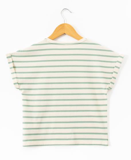Mariniere manches courtes 100% coton fille Fond grege raye vert 3 - vertbaudet enfant 