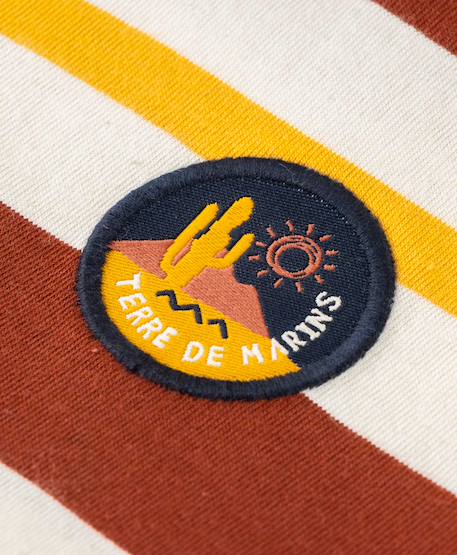 Polo manches courtes 100% coton garçon Fond grege raye multicolore 3 - vertbaudet enfant 