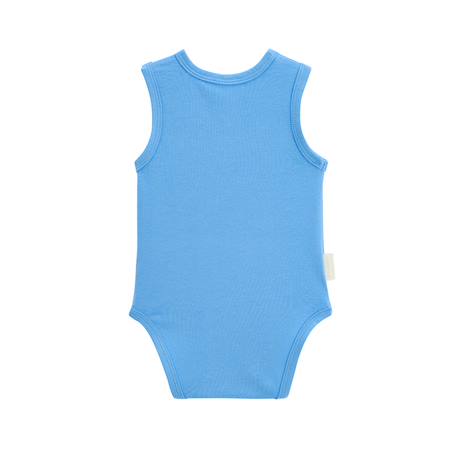 Lot de 2 bodies bébé sans manches biscarosse Bleu 5 - vertbaudet enfant 