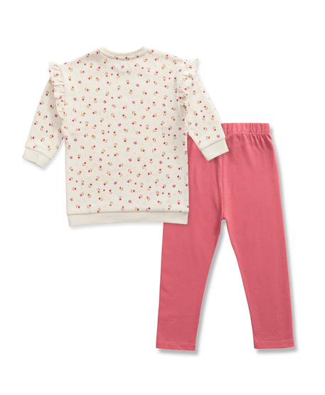 Ensemble robe + bas 100% coton bébé fille Imprime fond grege 2 - vertbaudet enfant 