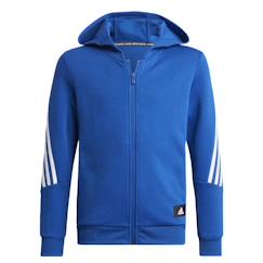 -Sweat à capuche zippé garçon
