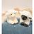 Peluche - peluche agneau douceur beige - 20 cm Blanc 6 - vertbaudet enfant 