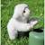 Peluche - peluche agneau douceur beige - 20 cm Blanc 3 - vertbaudet enfant 