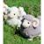Peluche - peluche funny bélier crème - 30 cm Beige 3 - vertbaudet enfant 