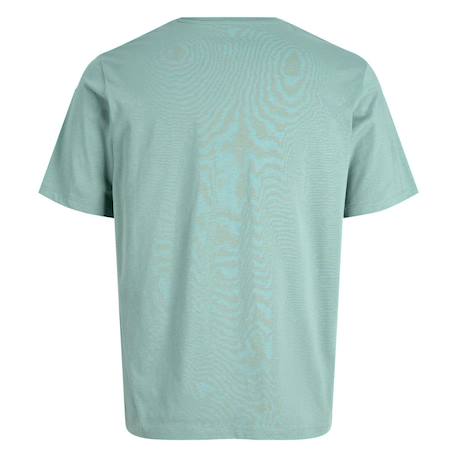 T-shirt garçon Blanc+Bleu 4 - vertbaudet enfant 