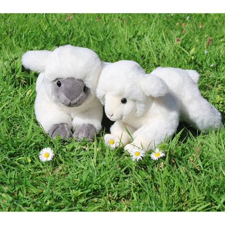 Peluche - peluche agneau douceur beige - 20 cm Blanc 2 - vertbaudet enfant 
