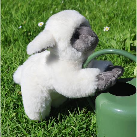 Peluche - peluche agneau douceur beige et gris - 20 cm Blanc 4 - vertbaudet enfant 