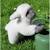 Peluche - peluche agneau douceur beige et gris - 20 cm Blanc 4 - vertbaudet enfant 