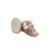 Chaussons bébé charly Marron 5 - vertbaudet enfant 