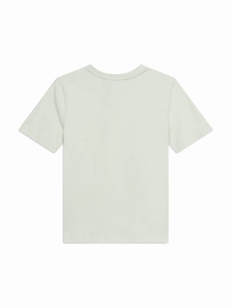 T-shirt  garçon à manches courtes Bleu pâle+Vert pastel 6 - vertbaudet enfant 
