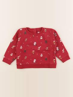 Seconde main-Garçon-Sweat - 24 mois